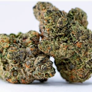 Green Goblin sativa