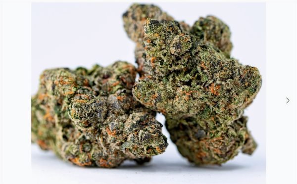 Toad Venom hybrid - Image 2